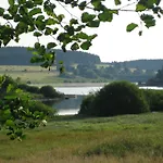 Gruene Tanne Mandelholz