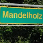 Hotel Gruene Tanne Mandelholz Elend