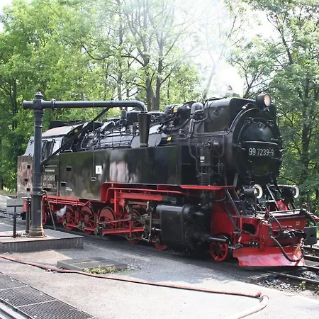 Hotel Gruene Tanne Mandelholz 3*