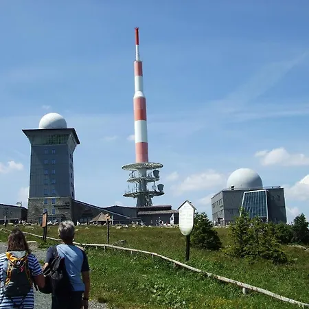 Gruene Tanne Mandelholz Hotel 3*