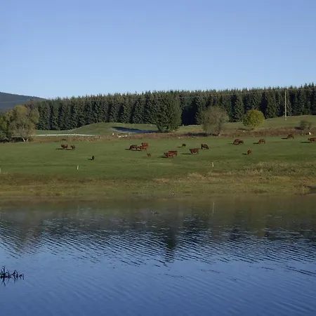 Hotel Gruene Tanne Mandelholz Elend