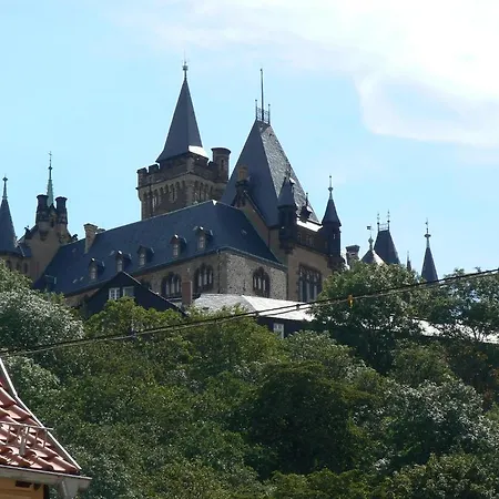 Gruene Tanne Mandelholz 3* Elend