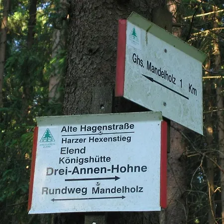 Hotel Gruene Tanne Mandelholz 3*