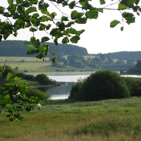 Gruene Tanne Mandelholz