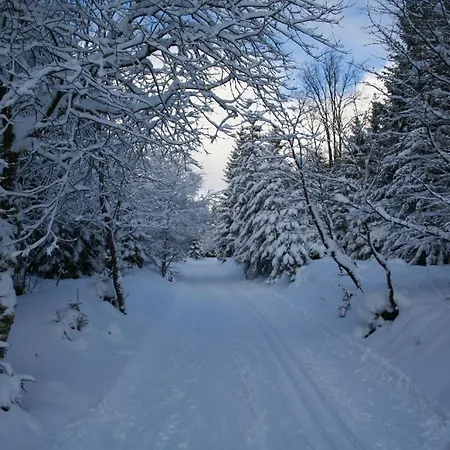 Gruene Tanne Mandelholz 호텔