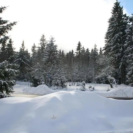 Hotell Gruene Tanne Mandelholz 3*