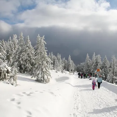 Gruene Tanne Mandelholz Hotel 3*