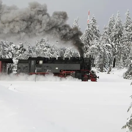 Hotell Gruene Tanne Mandelholz Elend