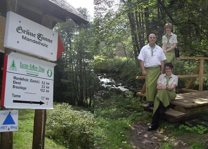 Hotell Gruene Tanne Mandelholz Elend