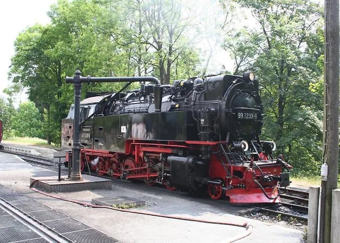 Hotel Gruene Tanne Mandelholz 3*