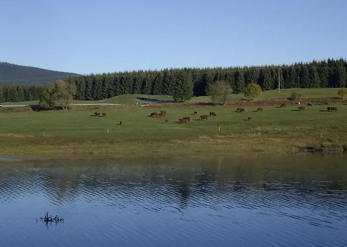 Hotell Gruene Tanne Mandelholz Elend