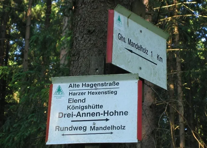 Hotel Gruene Tanne Mandelholz 3*