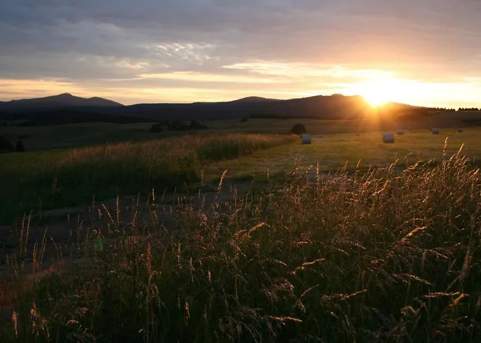 Gruene Tanne Mandelholz 3*