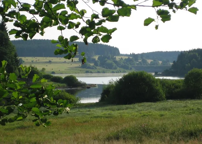 Gruene Tanne Mandelholz