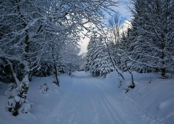 Gruene Tanne Mandelholz Hotell
