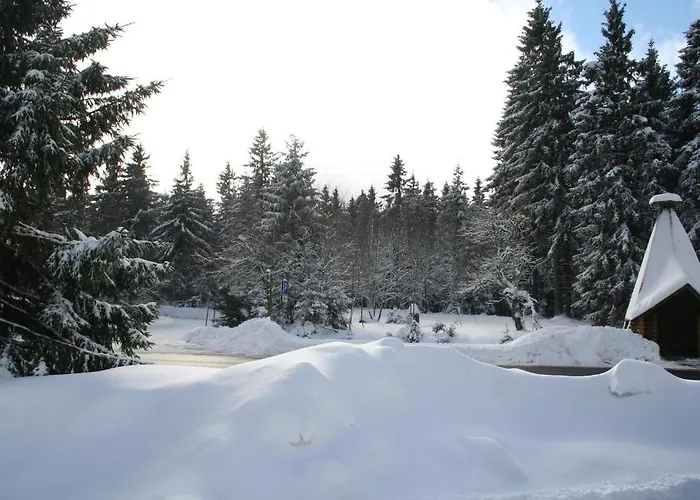 Hotel Gruene Tanne Mandelholz 3*