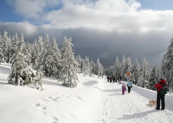 Gruene Tanne Mandelholz Hotel 3*