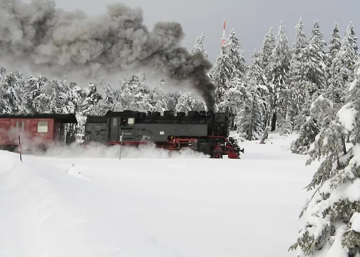Hotel Gruene Tanne Mandelholz Elend