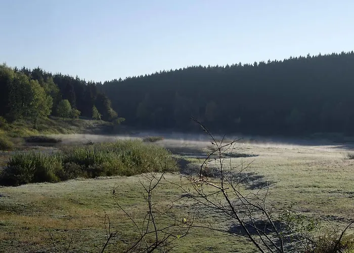 Gruene Tanne Mandelholz Hotel